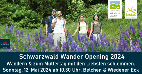 Wander Opening 2024